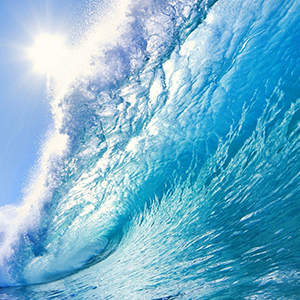 Fresh Oto Kokusu 8 Ml