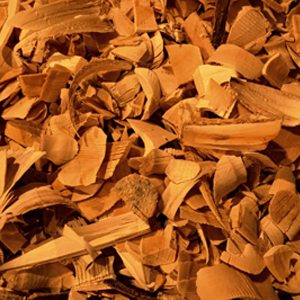 Odunsu Oda Parfümü