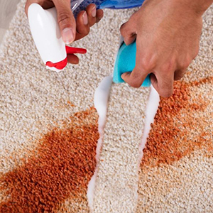 Pro Silikonlu Halı Şampuanı Parfümlü