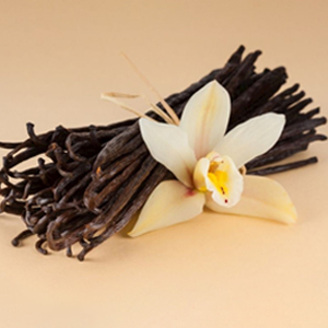 Vanilya Oda Parfümü